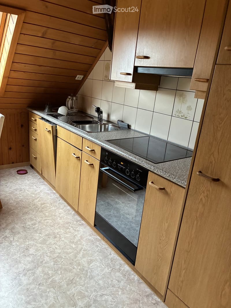 Kitchen. Modern kitchen with wooden cabinets, granite countertop, stainless steel sink, and built-in oven. Features a skylight window and tiled backsplash.