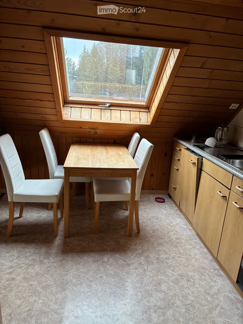 Furnished Room. A cozy, wooden-paneled room with a dining table and four white chairs, a small kitchen area with cabinets and a sink, and a large skylight offering a view of the forest.