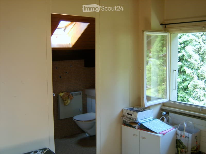 The image shows a small bathroom with a toilet, a window, and a washing machine visible.