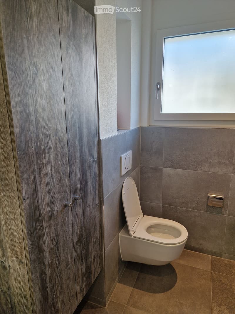 wooden cabinet, corner toilet, window, tiled walls, flush handle, tissue holder