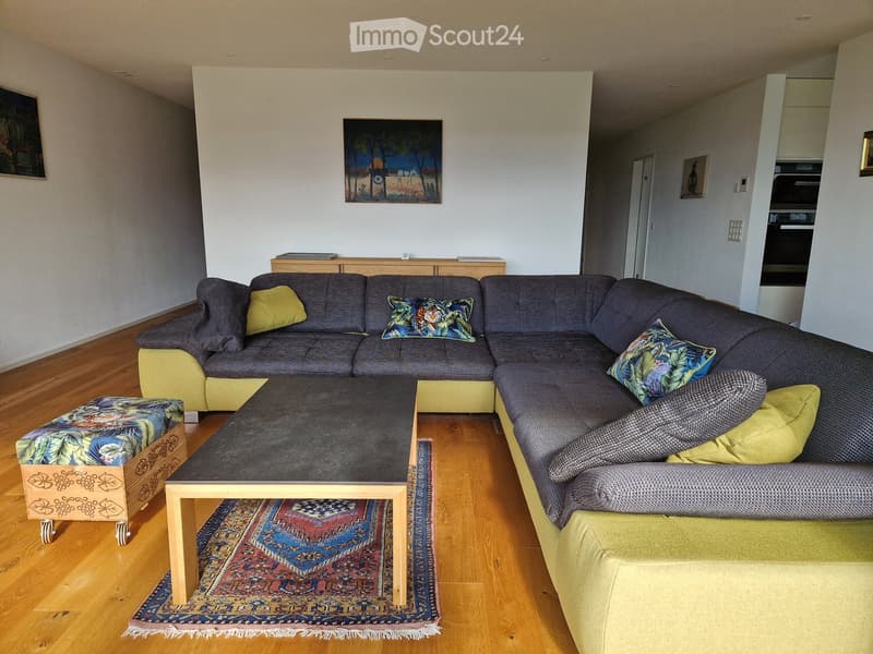 Wooden floor, couch, sofa bed, coffee table, decorative rug, wooden cabinet, painting on the wall