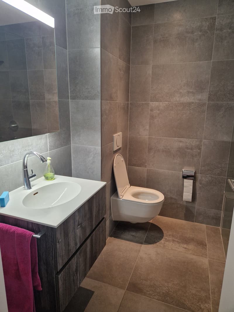 Modern bathroom with grey tiles, a white sink with a wooden cabinet, a toilet, a mirror, and a towel rack