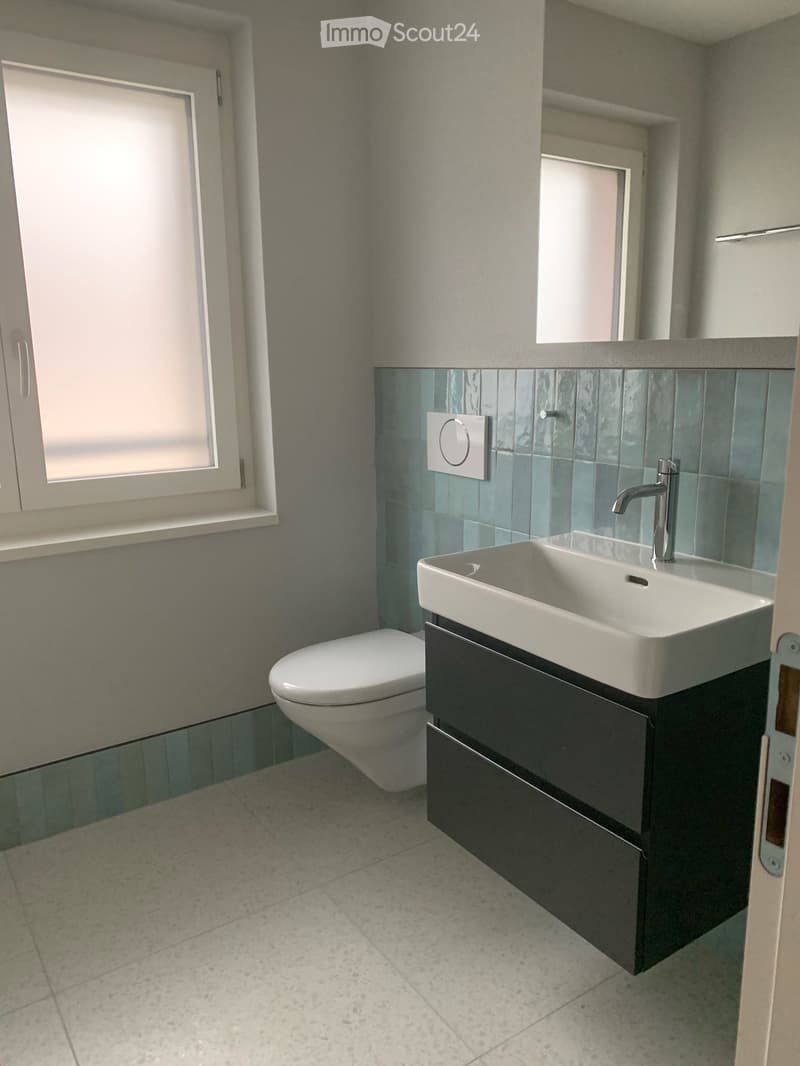 Modern bathroom with a white toilet, a white sink with a chrome faucet, and a dark wooden cabinet. The walls are tiled in grey and blue, and there is a window on the left side.