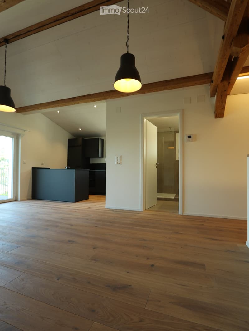 Open, airy room with wooden flooring, exposed wooden beams, and modern lighting fixtures. Features a kitchen area with dark cabinets and a bar counter, and a doorway leading to a bathroom.