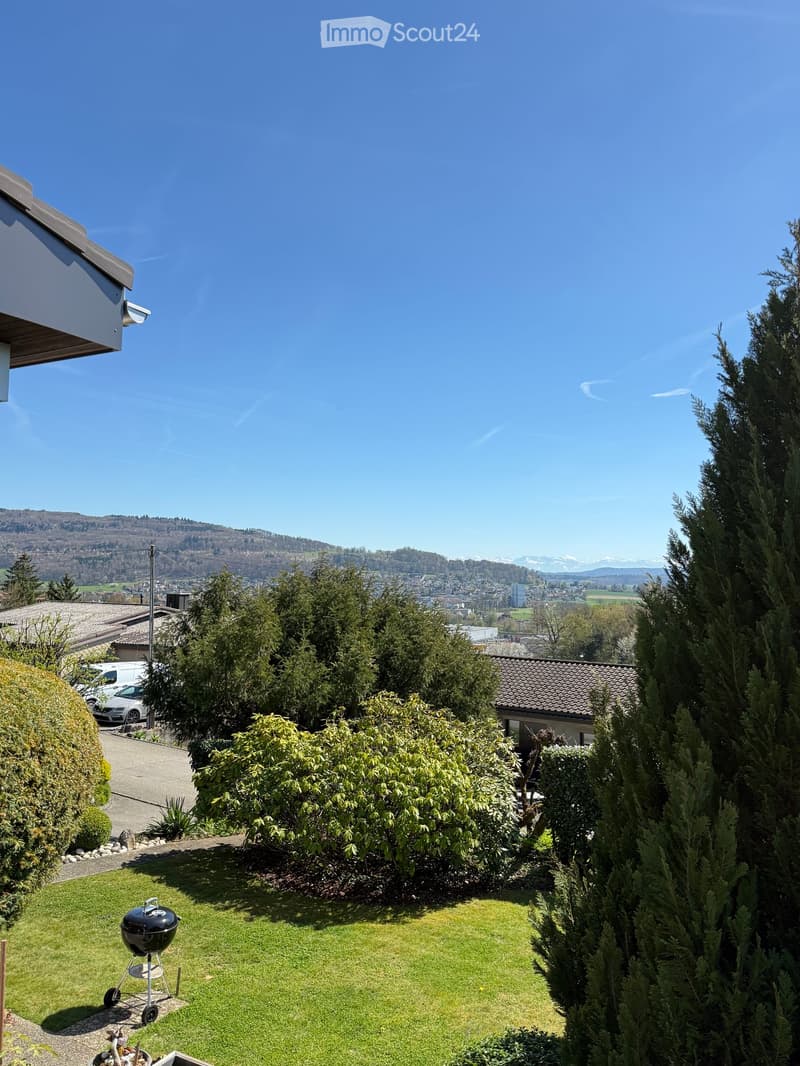 Well-maintained garden with a grassy lawn, a grill, and various trees and shrubs, with a scenic view of a city and mountains in the background.
