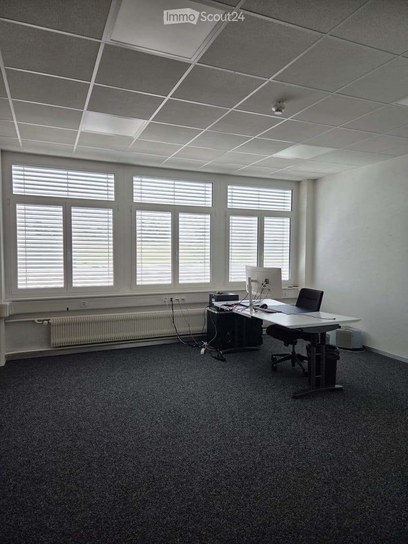 Office space with a desk, chair, computer, printer, and radiator, large windows with blinds, and a grey carpeted floor.