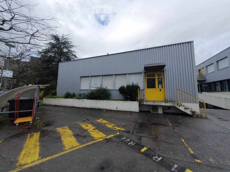 Commercial building, gray exterior wall, yellow entrance, concrete parking lot, yellow markings, streetlight