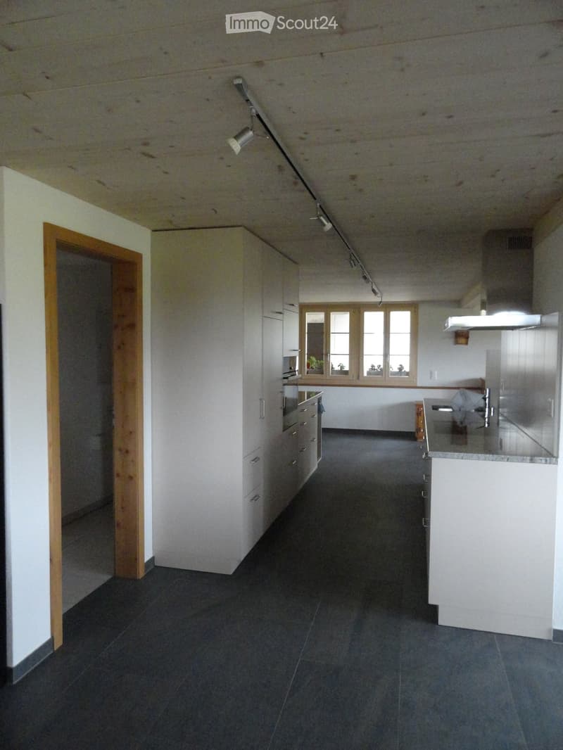 Kitchen. Modern kitchen with white cabinets, dark tiled floor, and stainless steel appliances. Features a large window and a track light system.