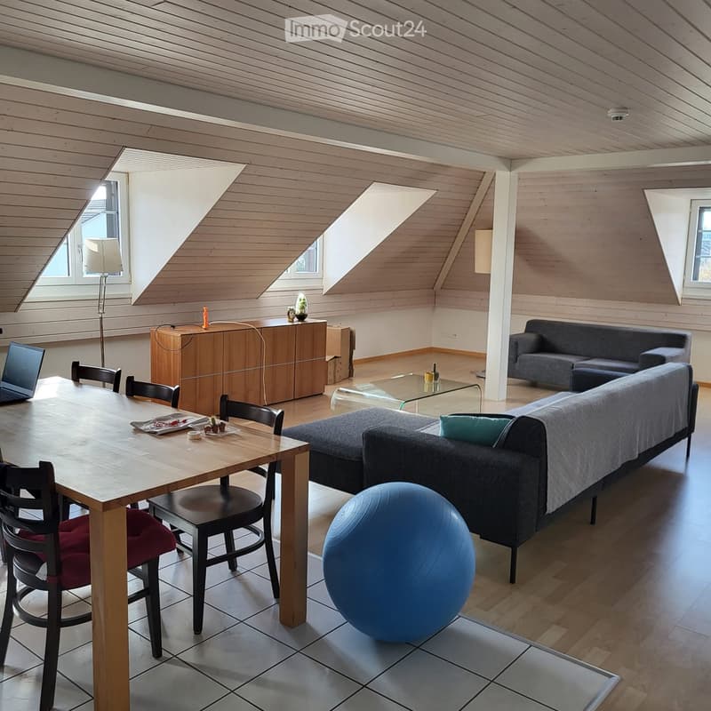 modern interior, wooden flooring, gray and brown color palette, dining table with chairs, exercise ball, two couches, center table, two lamps