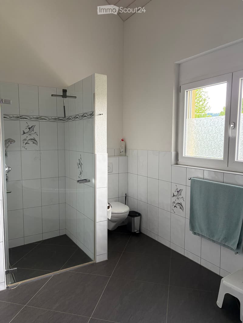 Bella casa unifamiliare a Stein am Rhein (12)