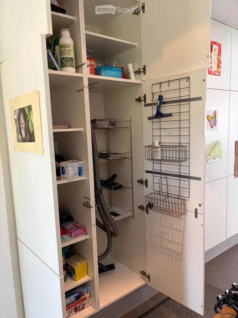 Bella casa unifamiliare a Stein am Rhein (15)