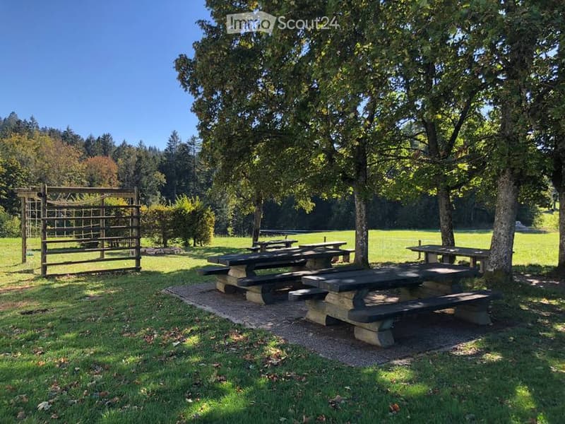 Outdoor picnic area with multiple wooden picnic tables and benches, surrounded by trees and grassy field.