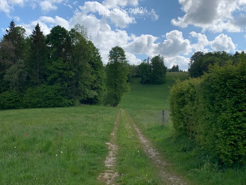 Casa indipendente in vendita a Les Bois (JU) (3)