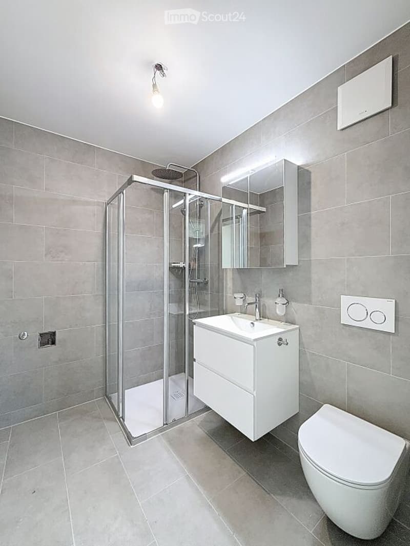 modern design, gray tiled walls, glass shower enclosure, white vanity, undermount sink, mirror, showerhead, toilet