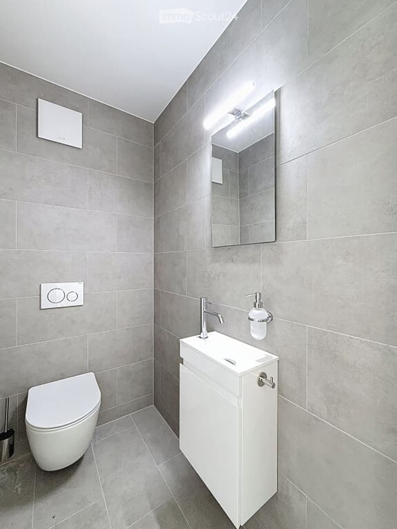 small bathroom, white toilet, gray tiles, white sink, mirror, white floor, modern faucet, toilet paper holder