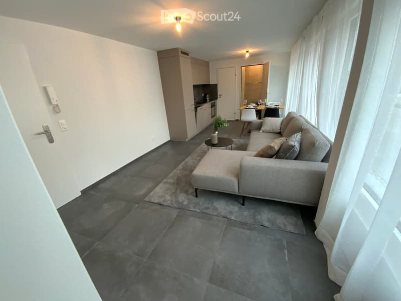 Modern living room with grey sectional sofa, coffee table, dining area with chairs and table, small plant, and kitchen area visible in the background.