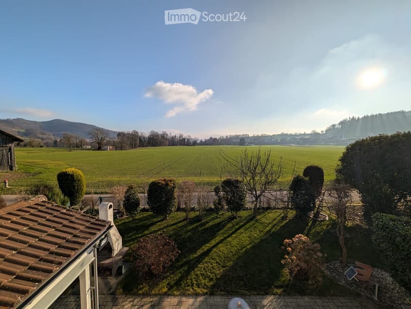 green grassy field, tiled roof, bushes, mountains in the distance