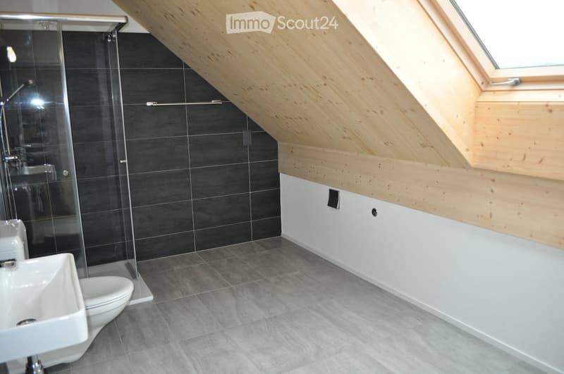 Modern bathroom with grey tiles, white sink, toilet, and glass-enclosed shower. The ceiling has wooden beams and a skylight window.