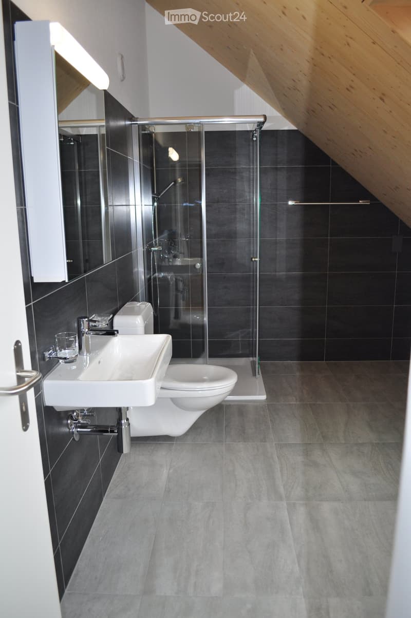 Modern bathroom with dark grey tiles, white sink, toilet, and a glass-enclosed shower stall. Features a sleek design with a wooden slanted ceiling.