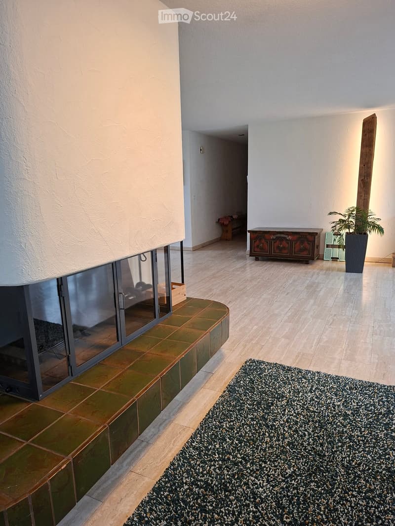 Modern hallway with light wooden flooring, white walls, a fireplace with glass enclosure, a patterned rug, a small table, and a potted plant.