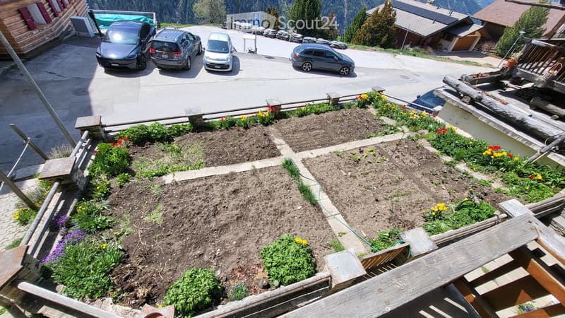 A garden area with raised beds, colorful flowers, and a wooden fence, surrounded by parked cars and a wooden house in the background.