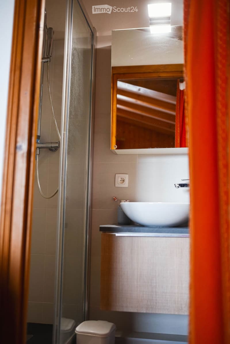 Modern bathroom with a glass-enclosed shower, a white sink with a wooden vanity, a mirror above the sink, and a toilet visible in the corner.