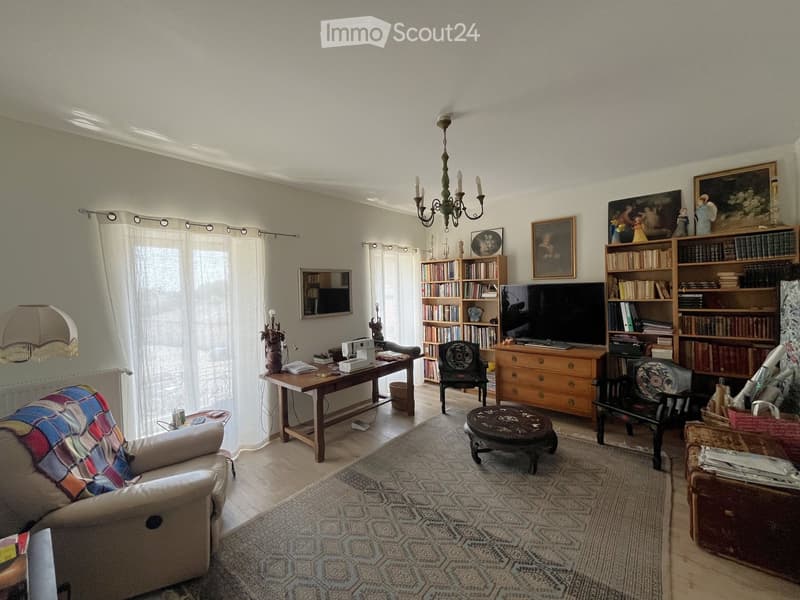 Well-furnished living room with a sofa, coffee table, bookshelf, TV, chandelier, and various decorative items.