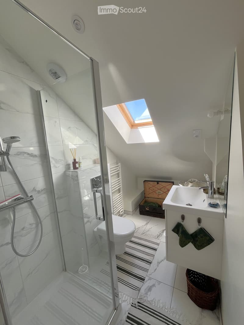 Modern bathroom with a glass-enclosed shower, toilet, sink, and a skylight window providing natural light. Includes a towel rack, a small basket, and a striped bath mat.