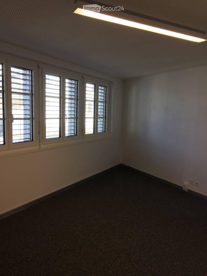 An empty room with 4 windows, white walls, white ceiling, fluorescent lights, gray carpet, and a power outlet.