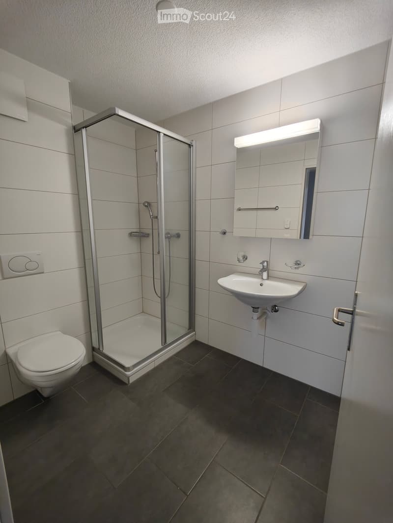 Modern bathroom with white tiles, a glass-enclosed shower, a toilet, a sink with a mirror, and a built-in storage cabinet.