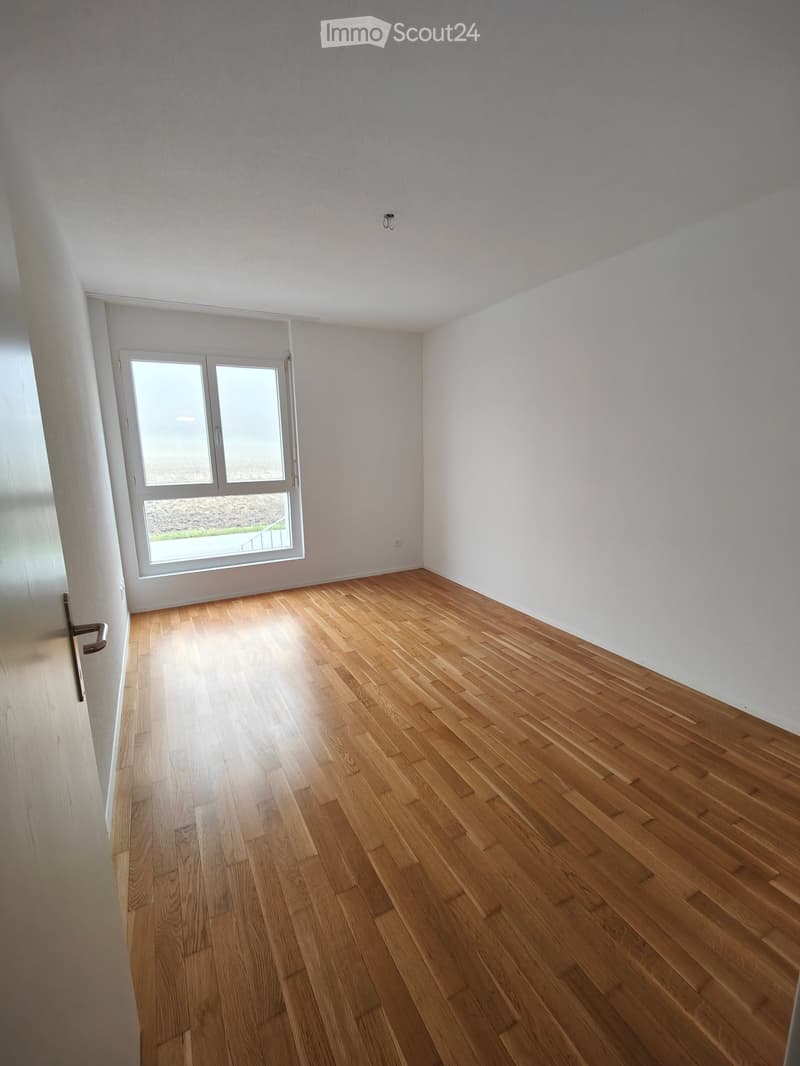 Empty room with light wooden flooring and white walls, featuring a large window with multiple panes and a door handle visible on the left side.