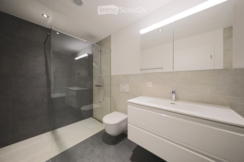 modern bathroom, white tiles, glass shower, white sink, white toilet, mirror