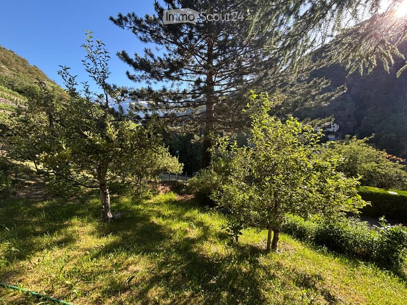 A lush garden area with various trees and shrubs, situated on a hillside with a scenic mountain backdrop under a clear blue sky.