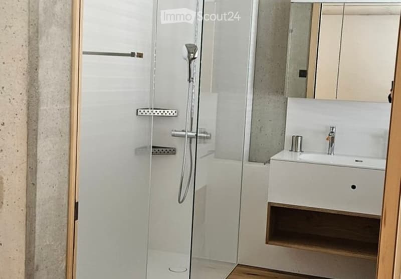 Modern bathroom with a glass-enclosed shower, a white sink with a modern faucet, and a large mirror above the sink.