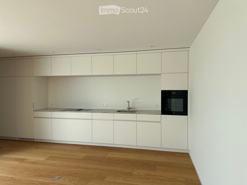 Modern kitchen with white cabinets, wooden flooring, and built-in appliances including a sink, faucet, and oven.