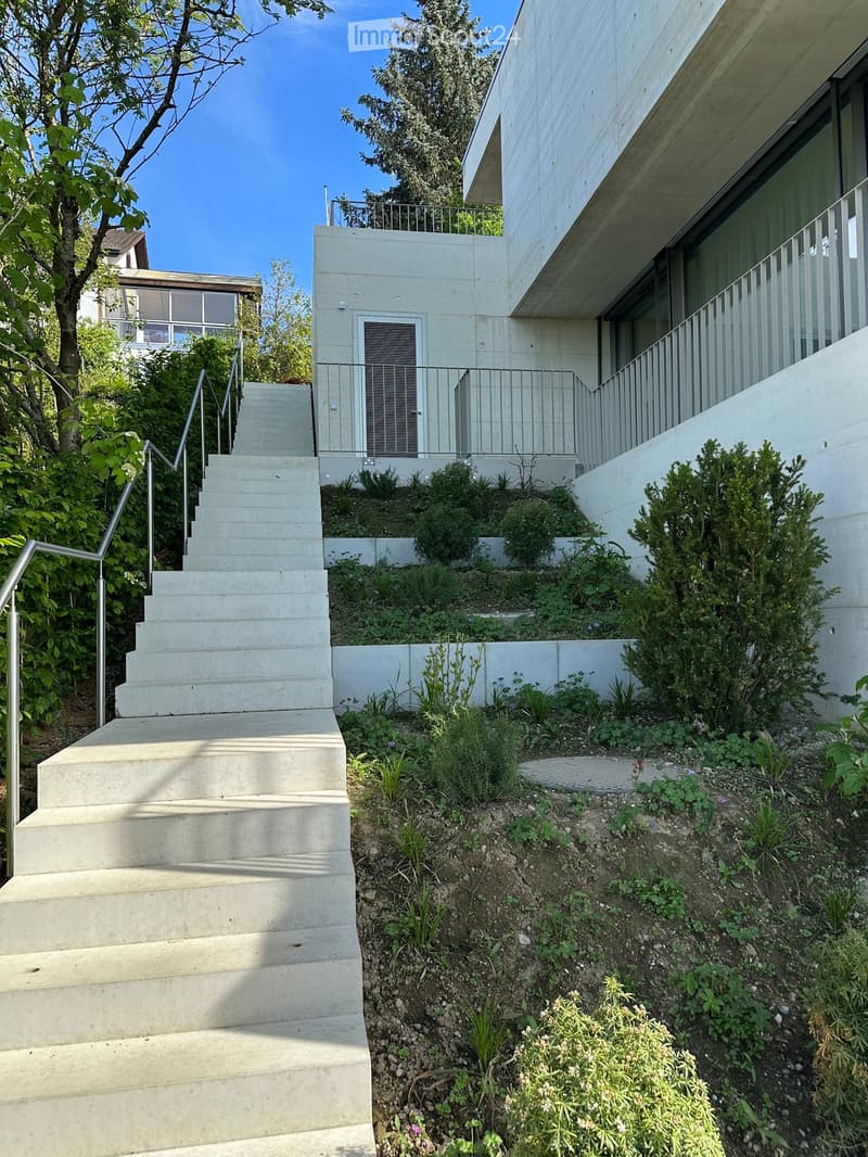 Modern two-story house with concrete steps leading up to a raised ground floor, surrounded by landscaped garden with shrubs and plants.