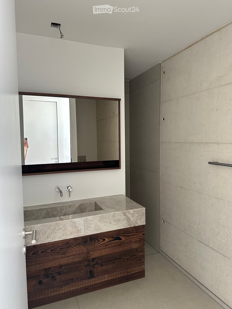 Modern bathroom with a large stone sink, sleek faucet, and a large mirror with wooden frame.