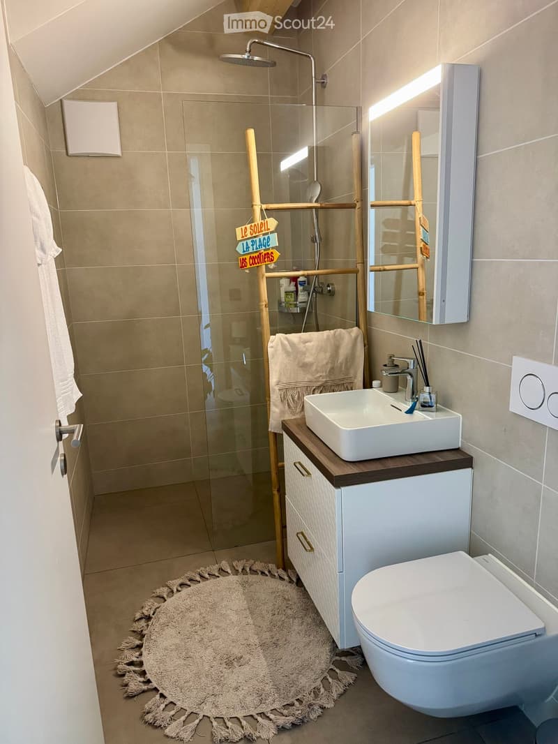 Modern bathroom with a glass-enclosed shower, a white sink with a wooden countertop, a toilet, a mirror cabinet, and a round bathroom rug.