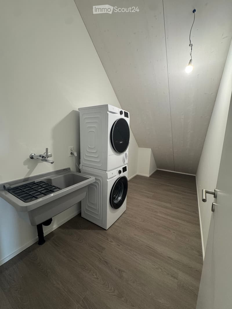 Small, well-lit room with a washing machine and a sink, featuring wooden flooring and white walls.