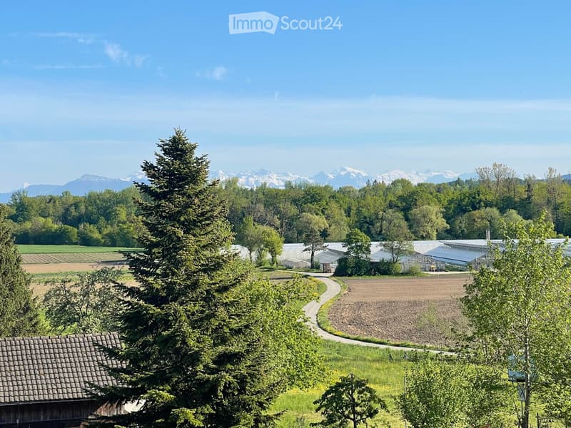A scenic outdoor view featuring a lush green landscape with trees, a winding road, and distant snow-capped mountains. A greenhouse structure is visible in the background, surrounded by cultivated fields and a wooden house in the foreground.