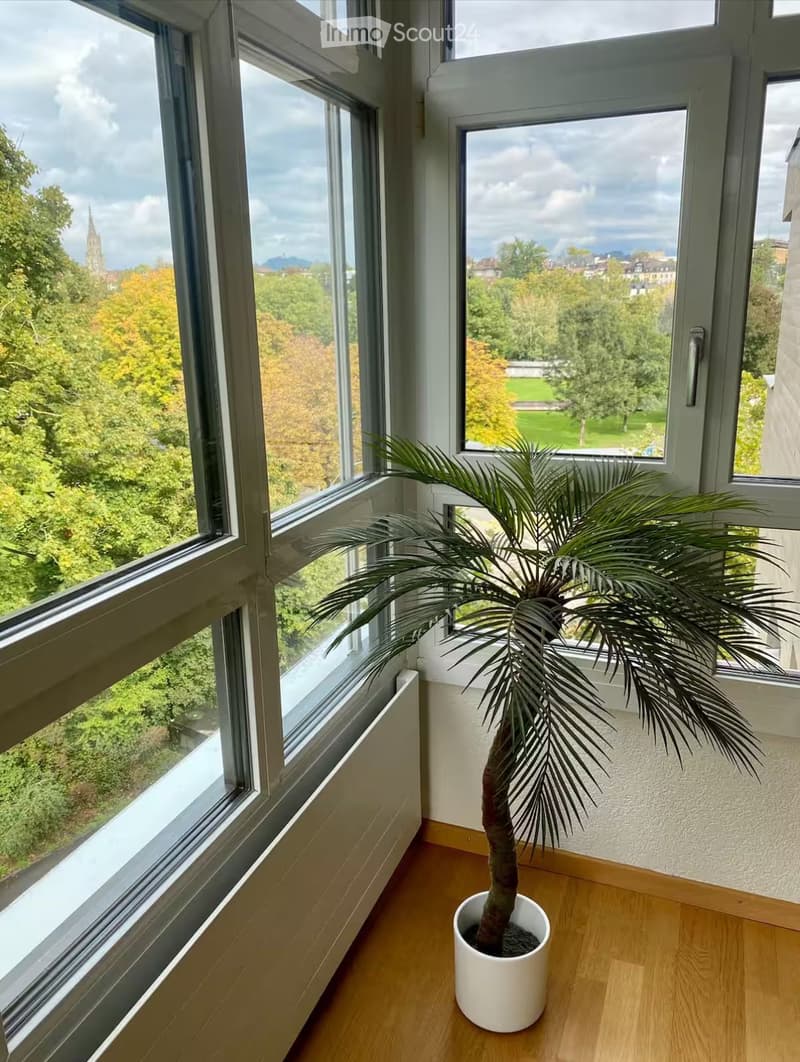 Empty room with large windows offering a scenic view of trees and a cityscape. A potted plant is placed near the window.