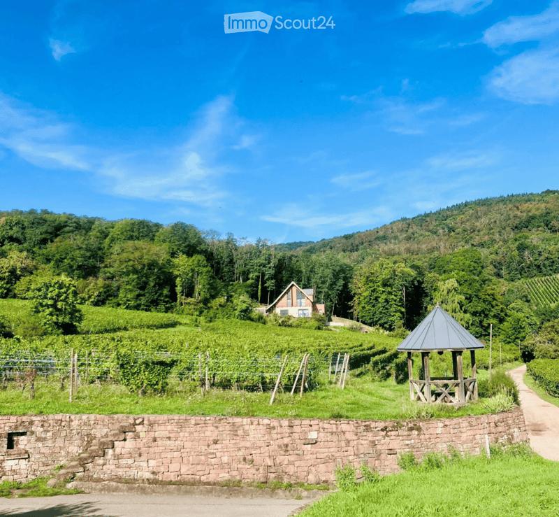 Garden / Outdoor Area. A scenic outdoor area featuring a vineyard, a wooden gazebo, and a house nestled among lush green trees and hills under a clear blue sky.