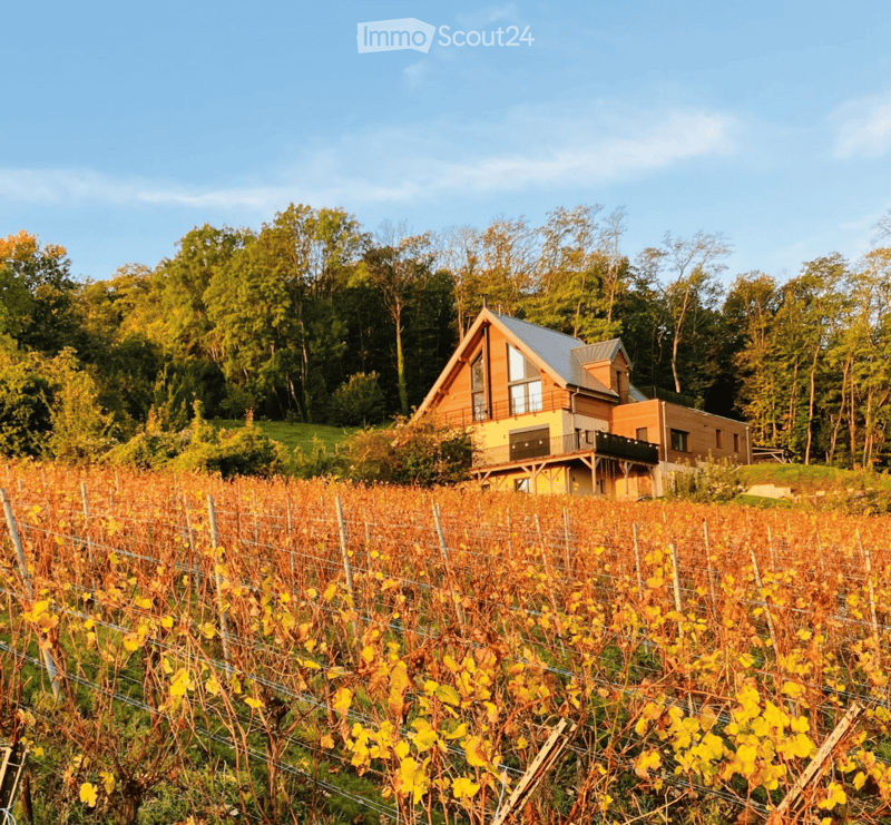 House. A modern two-story house with a sloped roof and large windows, situated on a raised ground floor amidst a vineyard with autumn foliage.