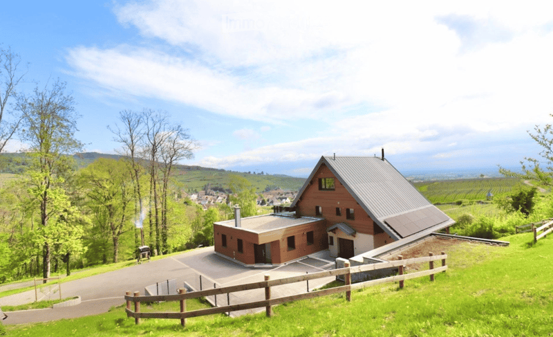 House. A modern two-story house with a combination of brick and wooden exterior, situated on a hillside with a panoramic view of vineyards and a small town in the distance.