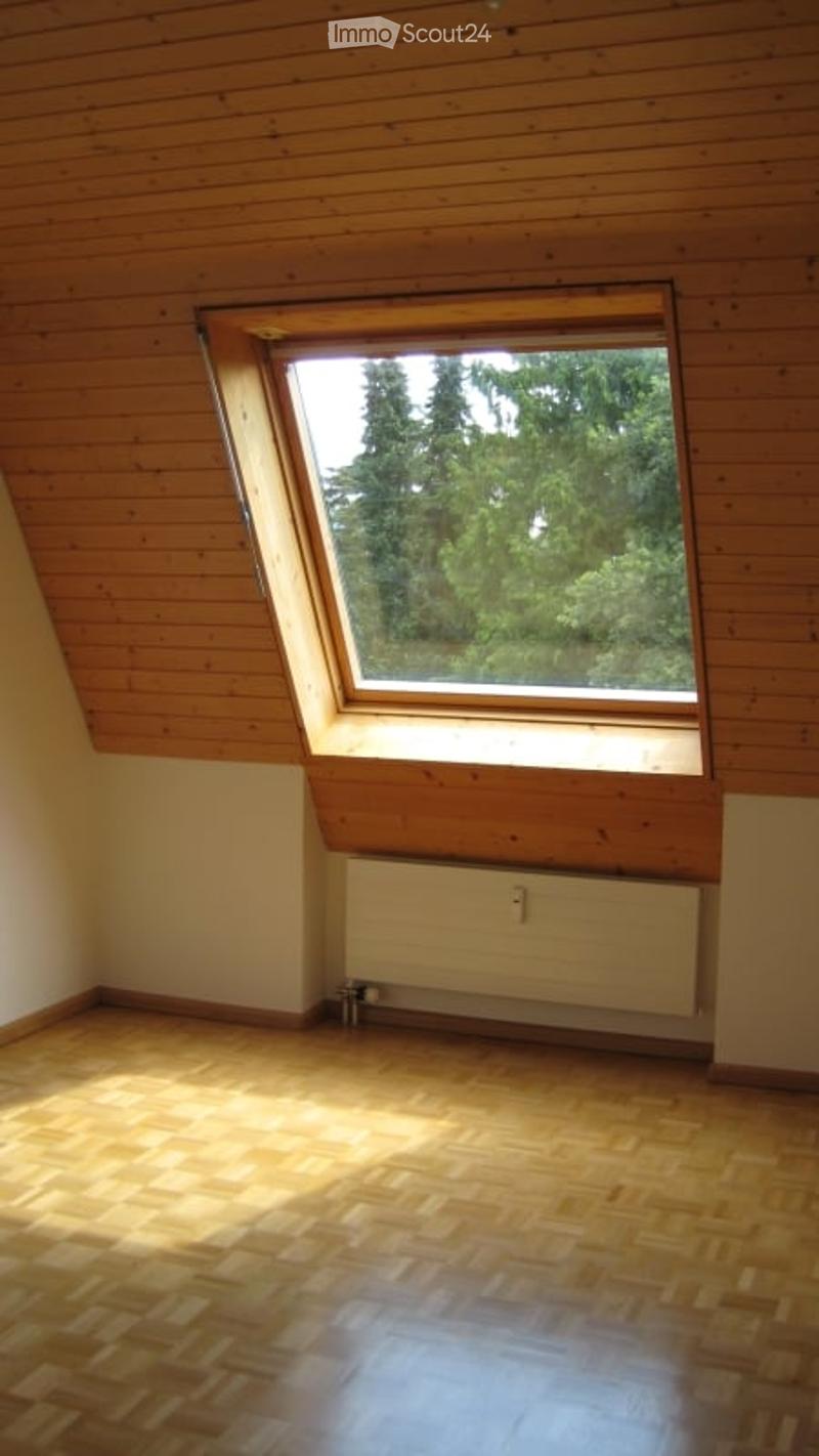 Empty room with wooden walls, wooden floor, and a skylight window showing greenery outside. No furniture or equipment present.