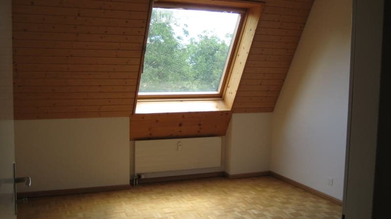 Empty attic room with wooden walls, floor, and a skylight window. No furniture or equipment present.