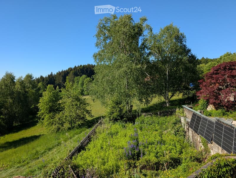 Lush garden with various trees, shrubs, and flowering plants, featuring a stone wall with solar panels on the right side.