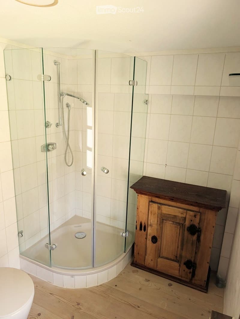Modern bathroom with a glass-enclosed shower stall, a toilet, and a wooden cabinet with a dark top.