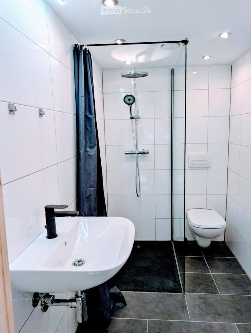 Modern bathroom with white tiles, a glass-enclosed shower, a white sink with a black faucet, and a toilet. The shower features a handheld sprayer and a fixed overhead showerhead.