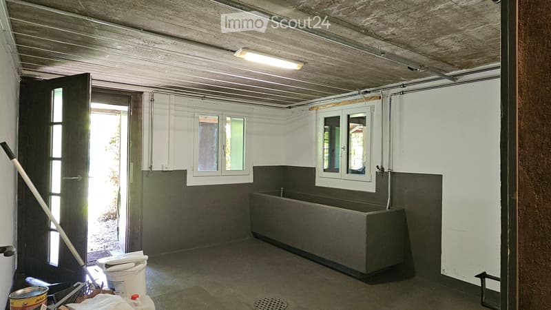 Empty room with concrete walls, a large rectangular sink, and windows allowing natural light. The space appears unfinished with exposed pipes and a broom leaning against the wall.